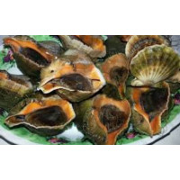 Рапан варено/морожена вага (шт.)