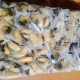 Рапан варено/мороженый вес (шт.)